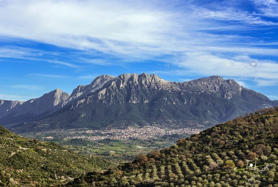 Sardegna: Oliena, dove il Cannonau si chiama Nepente