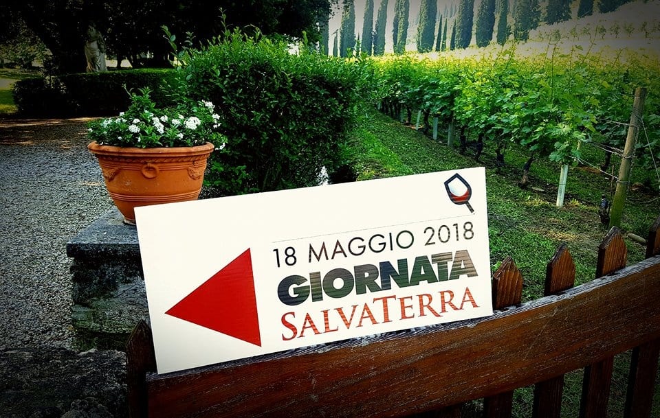 Giornata SalvaTerra. In Valpolicella nasce il think tank per il futuro del vino