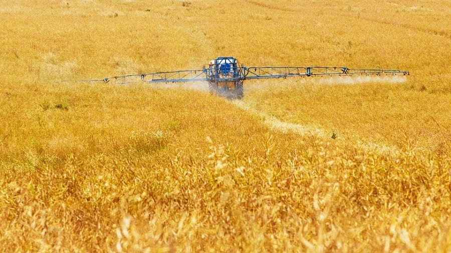 Pesticidi negli alimenti, in Europa cibo sicuro e basso rischio per i consumatori