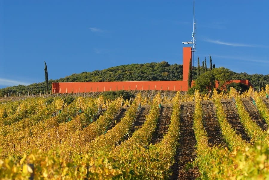 Il vino per gli Etruschi alla Rocca di Frassinello. La cantina di Renzo Piano ospita i reperti della necropoli