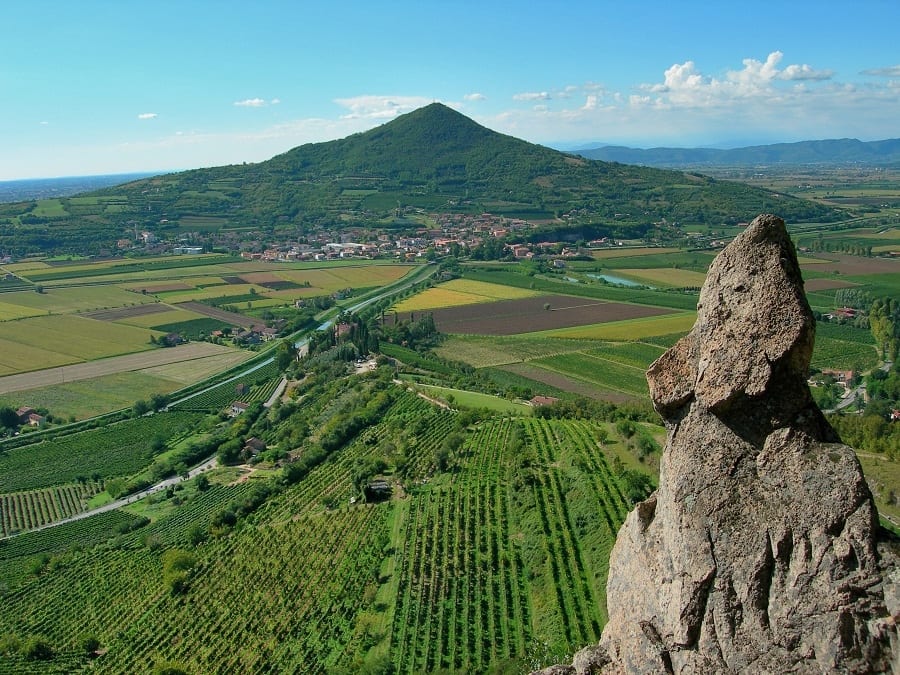 Volcanic Wines. Quanto vale per l'Italia il vino dei vulcani?