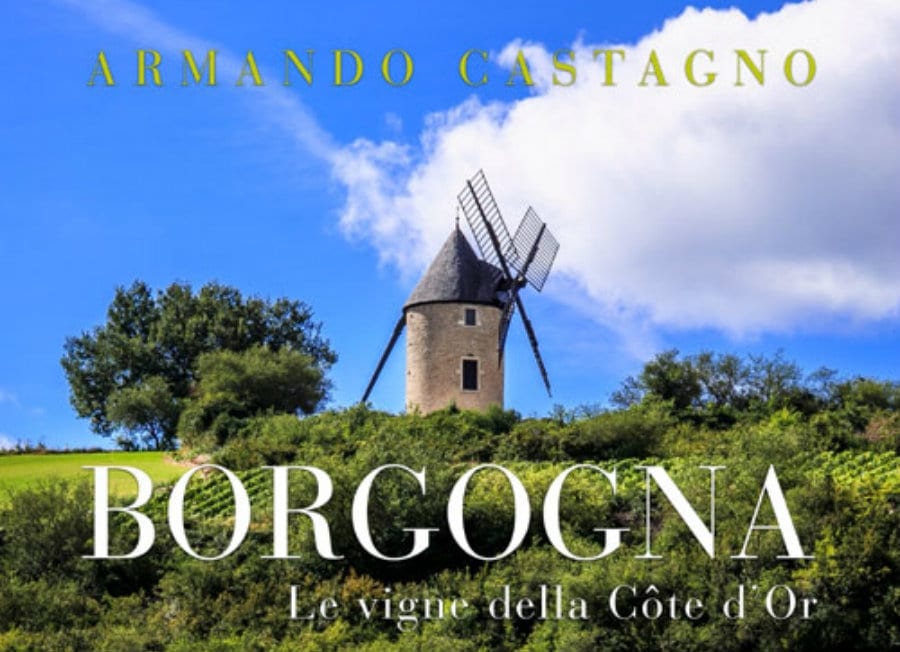 Libri. Borgogna e le vigne della Côte d'Or. Intervista ad Armando Castagno