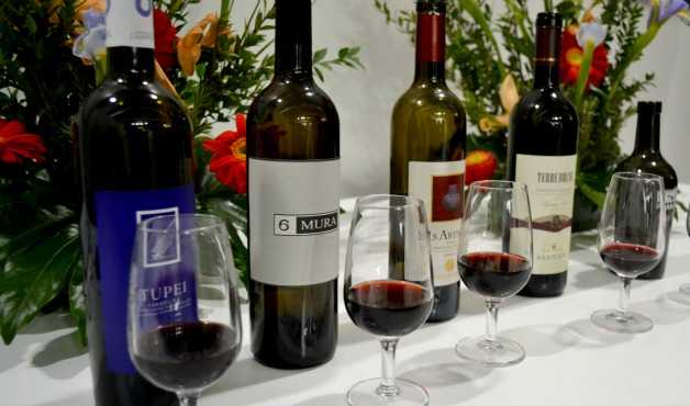 Vinitaly Report: appunti di degustazione. Strada del Vino del Carignano del Sulcis