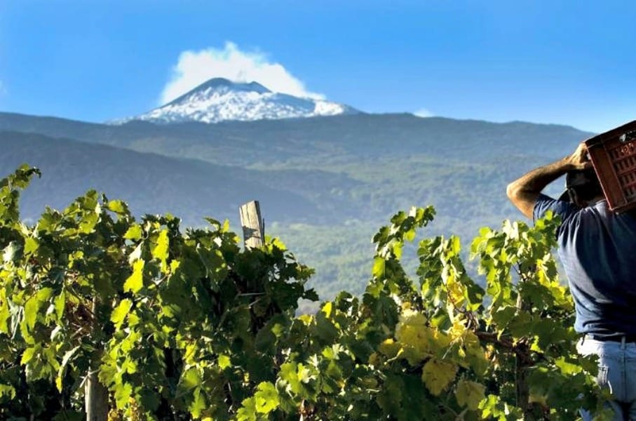 L’Etna colpisce ancora. Perché tutti vogliono fare i vini del Vulcano?