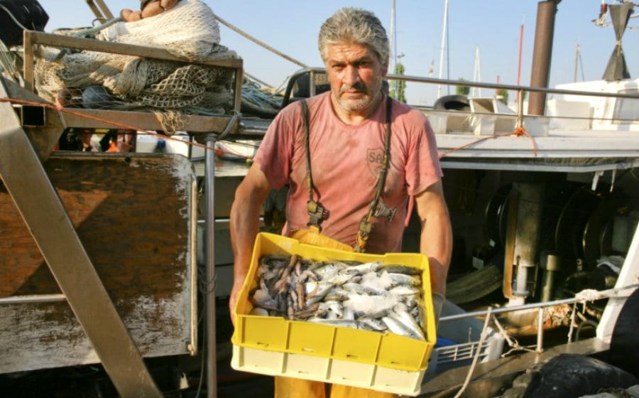 Pescatore dell'Organizzazione Produttori Bellaria Pesca