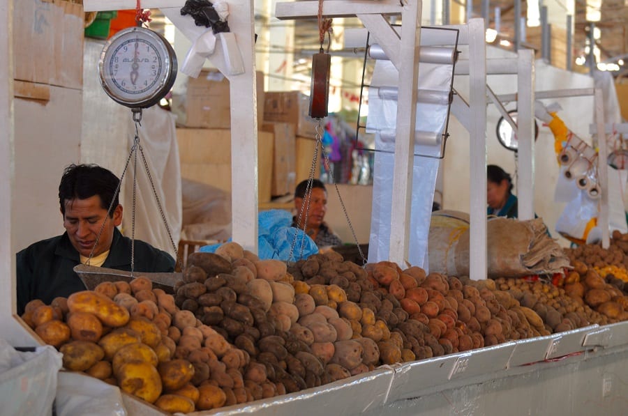 perù. varietà di patate