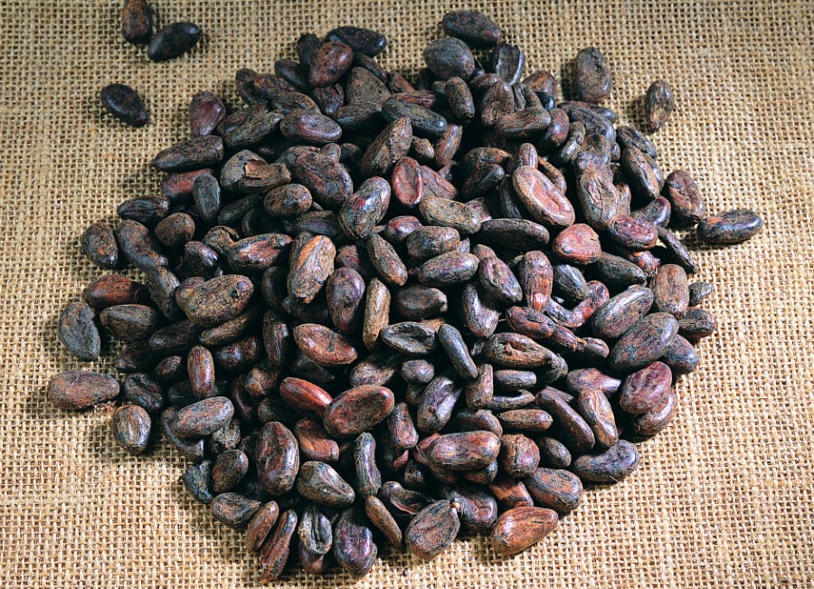 fave di cacao