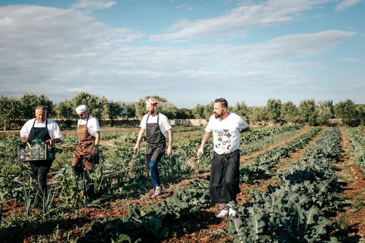 NoMenu 2019 Cantine San Marzano: gli chef in Puglia - Gambero Rosso
