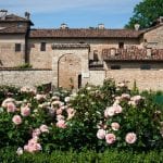 L'antica corte Pallavicina con le rose in fiore in giardino